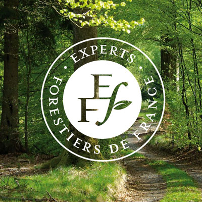 Experts Forestiers de France